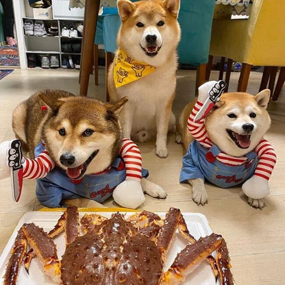 Adorable dog and cat wearing pumpkin-carrying costumes for Halloween