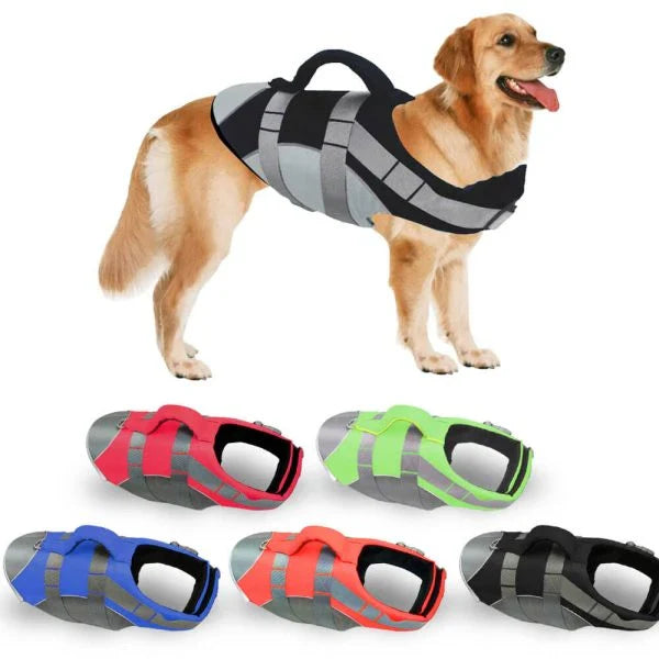 Dog wearing a colorful life jacket vest with reflective stripes and a rescue handle, ready for water activities