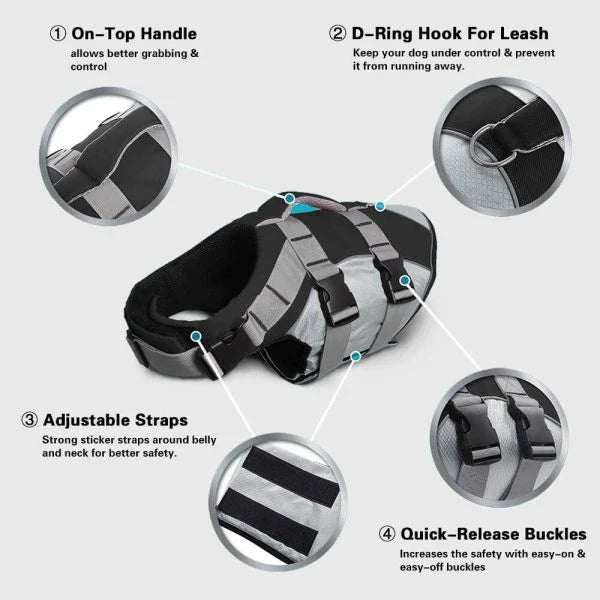 Dog wearing a colorful life jacket vest with reflective stripes and a rescue handle, ready for water activities