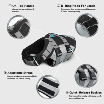 Dog wearing a colorful life jacket vest with reflective stripes and a rescue handle, ready for water activities