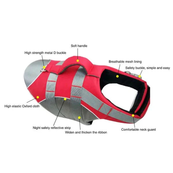 Dog wearing a colorful life jacket vest with reflective stripes and a rescue handle, ready for water activities