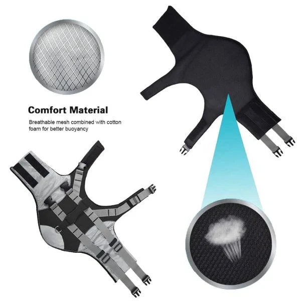 Dog wearing a colorful life jacket vest with reflective stripes and a rescue handle, ready for water activities