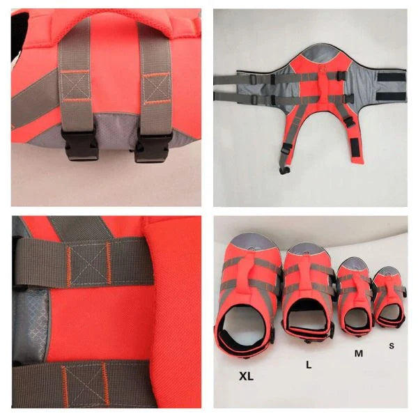 Dog wearing a colorful life jacket vest with reflective stripes and a rescue handle, ready for water activities