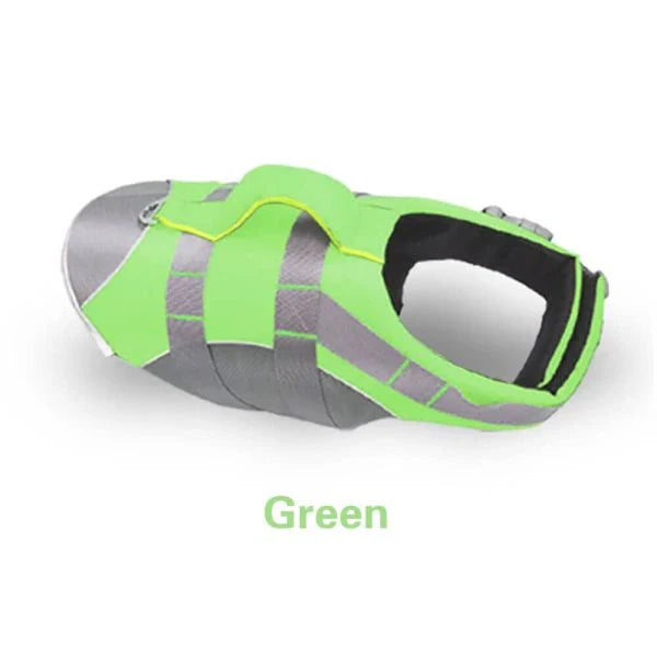 Dog wearing a colorful life jacket vest with reflective stripes and a rescue handle, ready for water activities