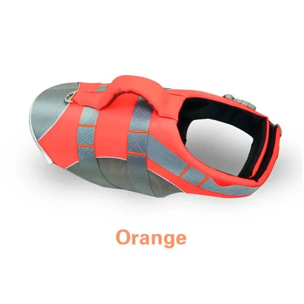 Dog wearing a colorful life jacket vest with reflective stripes and a rescue handle, ready for water activities