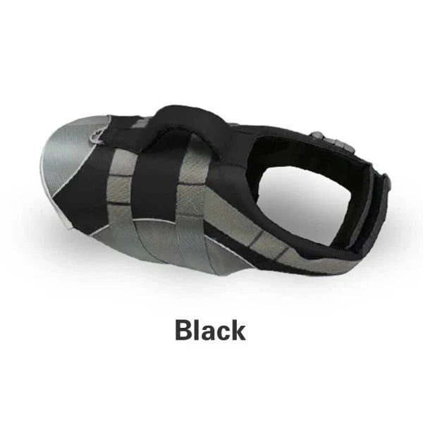 Dog wearing a colorful life jacket vest with reflective stripes and a rescue handle, ready for water activities