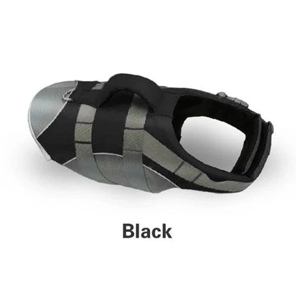 Dog wearing a colorful life jacket vest with reflective stripes and a rescue handle, ready for water activities