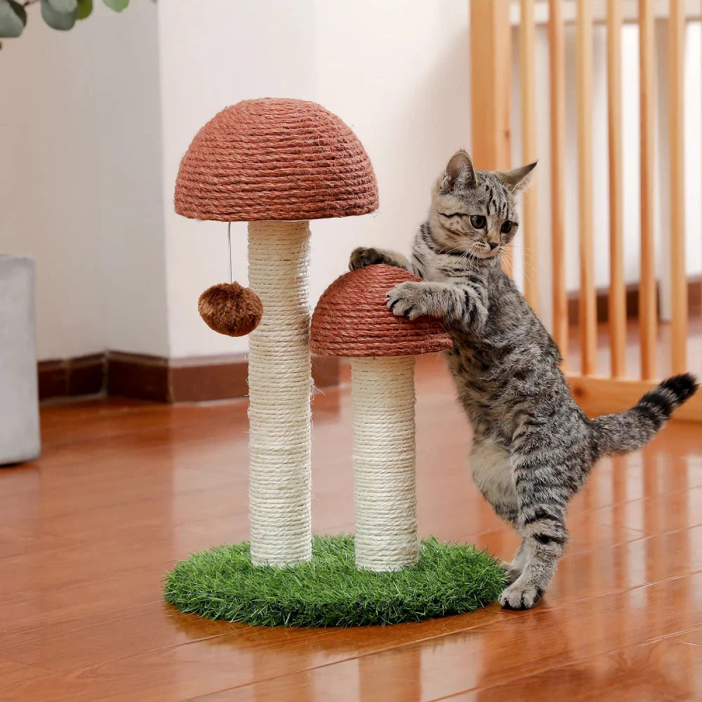 Adorable cat scratching post with natural sisal rope, interactive toys, and a sturdy base for kittens and small cats