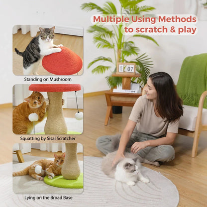 Adorable cat scratching post with natural sisal rope, interactive toys, and a sturdy base for kittens and small cats