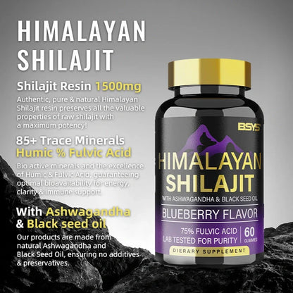 BSYS Shilajit Gummies 60 Count - Delicious Natural Energy Supplement
