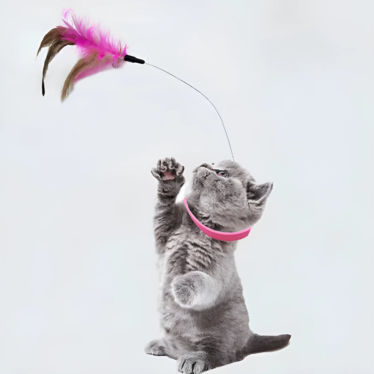 Blue adjustable cat collar toy with silicone teasing wand and feather teaser attachment for interactive play