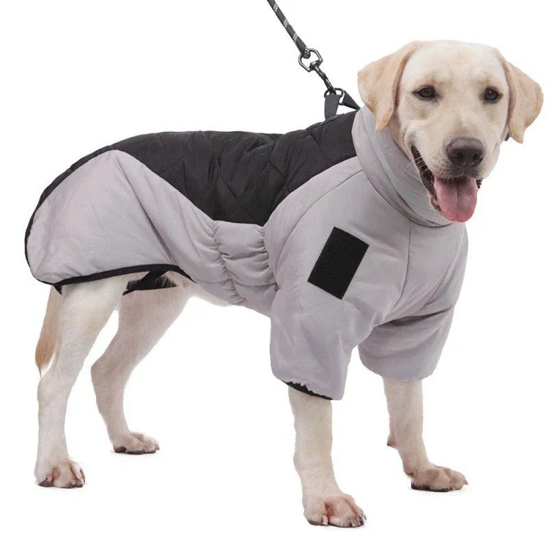 Waterproof dog coat with thick insulation and soft velvet lining, available in various color options