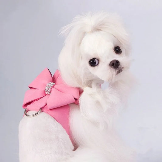 Puppy wearing a pink microfiber chest strap with a bowknot, adjustable in sizes S, M, L, XL