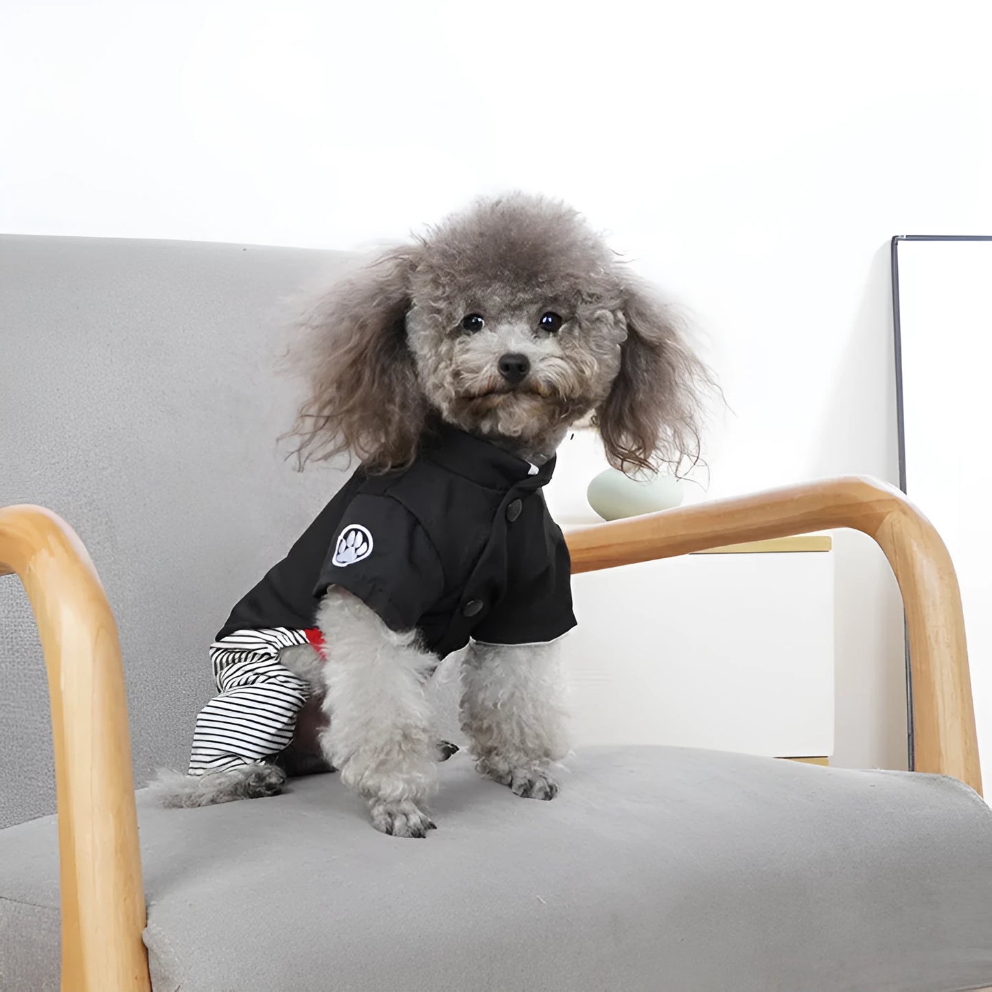 Thin cotton poodle dog clothes in skirt and four-foot pants styles for spring and autumn wear.