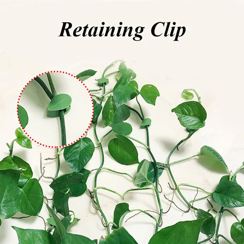 Hhomeenjoy Adjustable Leaf-Shaped Plant Clips for Climbing Vines and Greenery