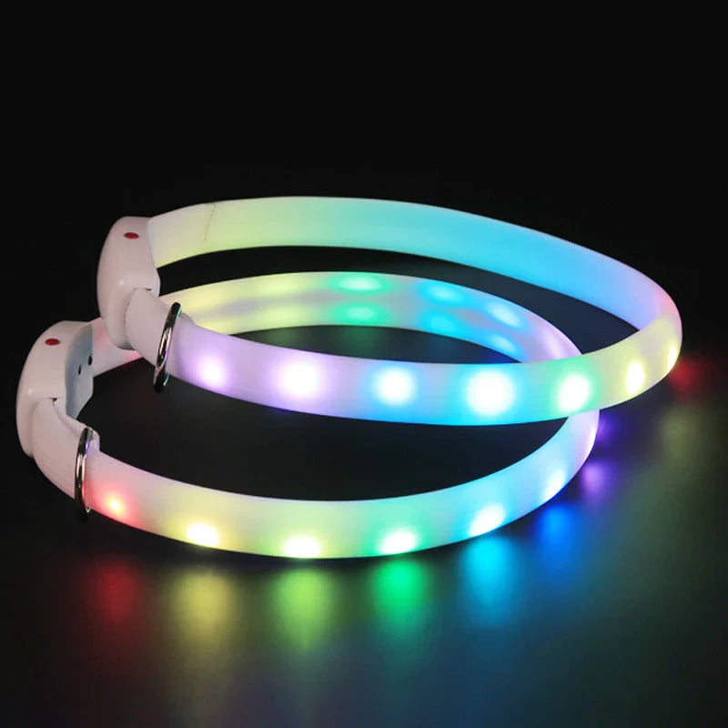 Bright LED pet collar with adjustable strap and ultra-visible lights for safe nighttime walks