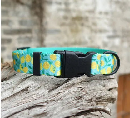 Flower pattern nylon pet collar in blue with size options for dogs and cats