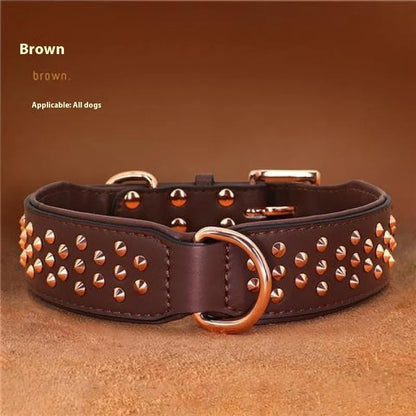 Leather dog collar with metal rivets in chocolate colour, showing rivet spacing and buckle detail