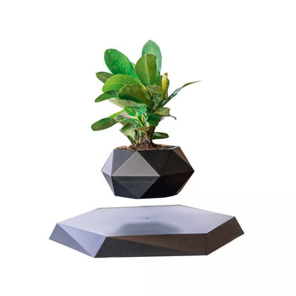 Maglev Pot Plant floating above base in white, wood grain, black, and imitation marble styles