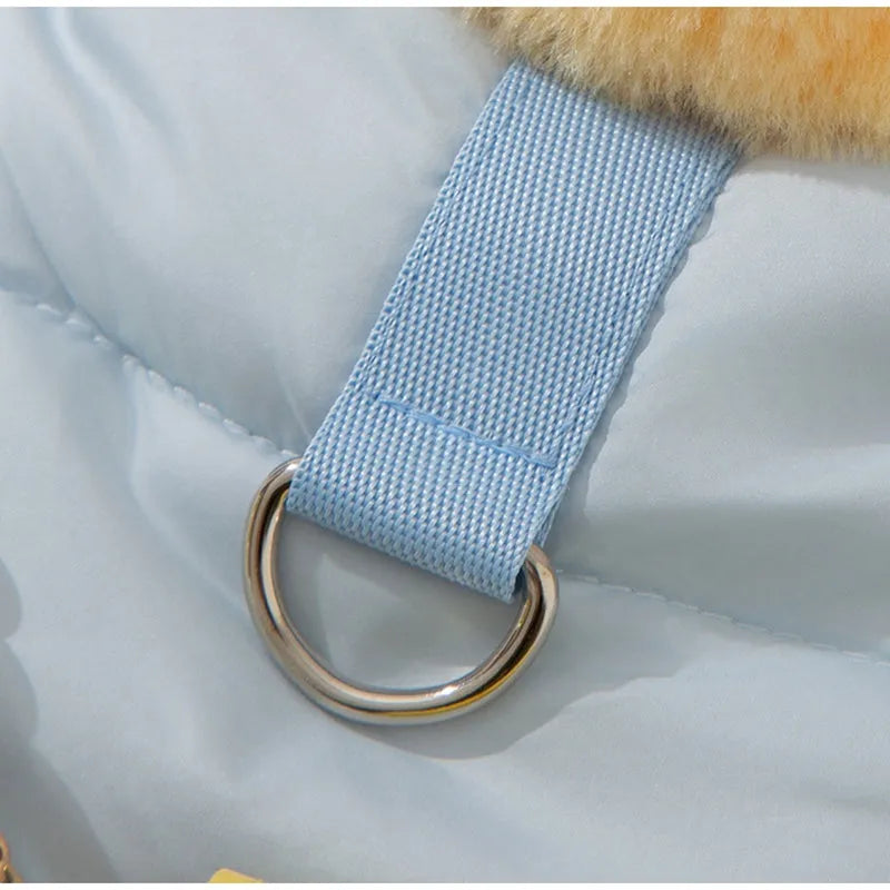 Small dog wearing blue princess skirt pet clothes with D-ring leash attachment, autumn winter fleece