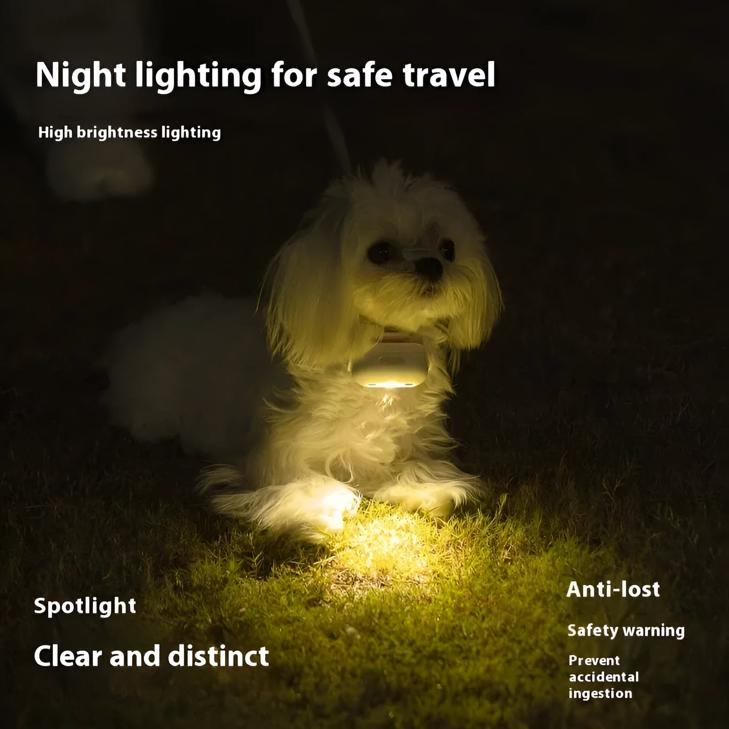 Pet luminous collar light with multicolour LED patterns and hanging ring for dog collar attachment