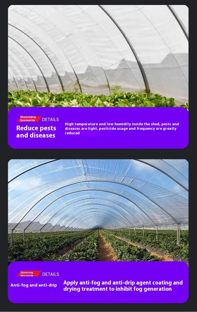 Roll of 4x8 metre plastic greenhouse insulation film for cold-proofing vegetable sheds.