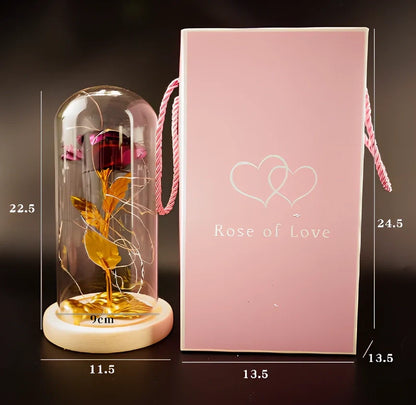 Little Prince rose arrangement under 20x9cm glass dome with gold foil flowers