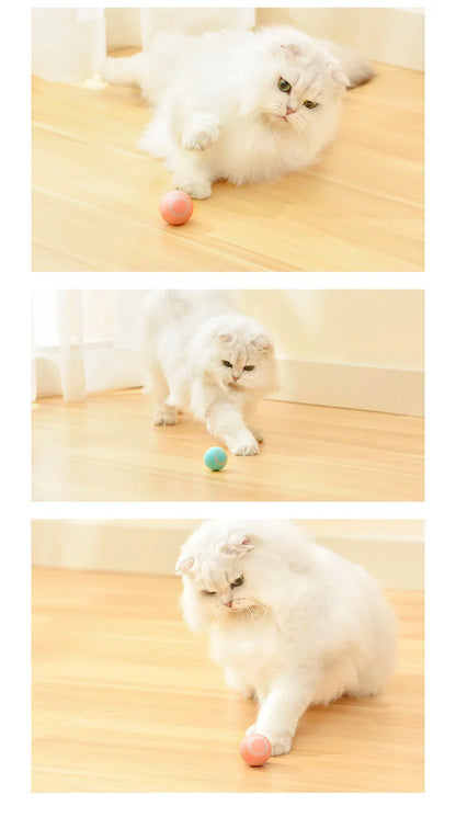 Interactive Automatic Cat Toy with Rotating Ball and Obstacle Avoidance Technology