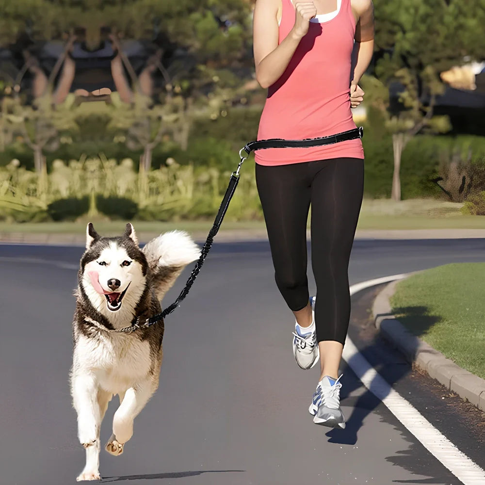 Adjustable fluorescent green nylon pet leash with sliding mechanism showing 150cm length