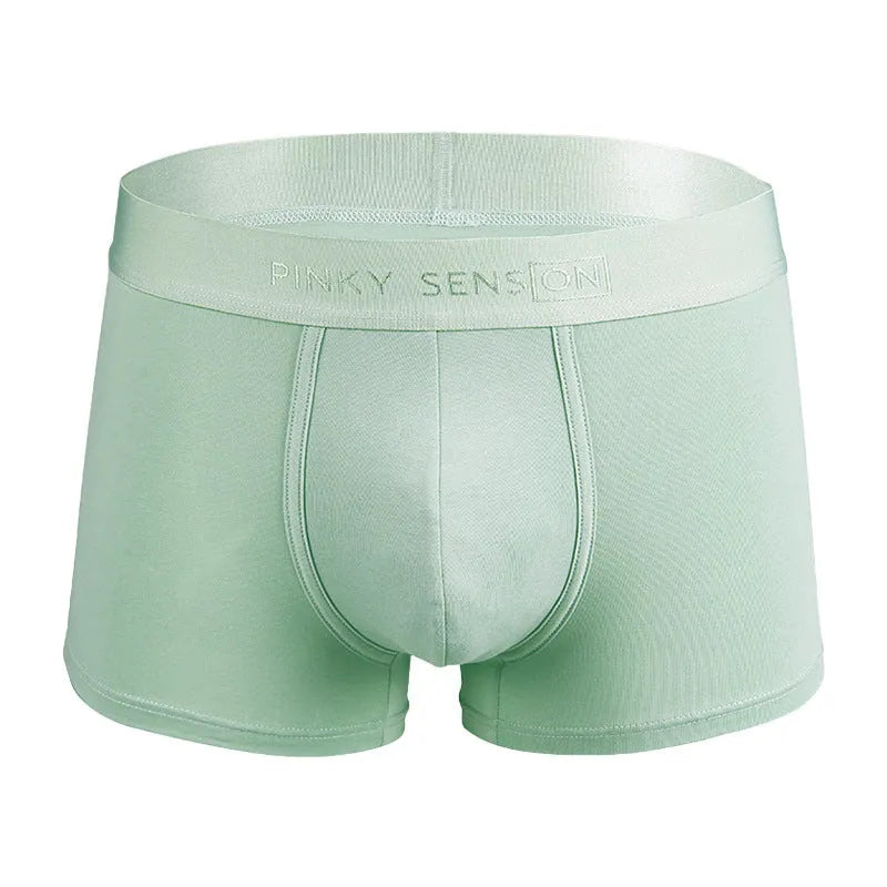 Men's solid colour cotton boxer shorts showing available colours: black, white, silver grey, light green
