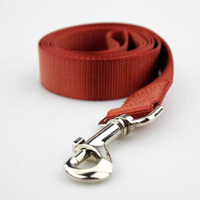 Polyester dog lead with hand-holding rope design in multiple colour options