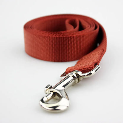 Polyester dog lead with hand-holding rope design in multiple colour options
