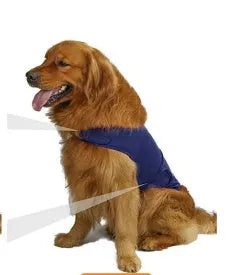 Dog wearing brocade cotton tank top for anxiety relief in brown colour