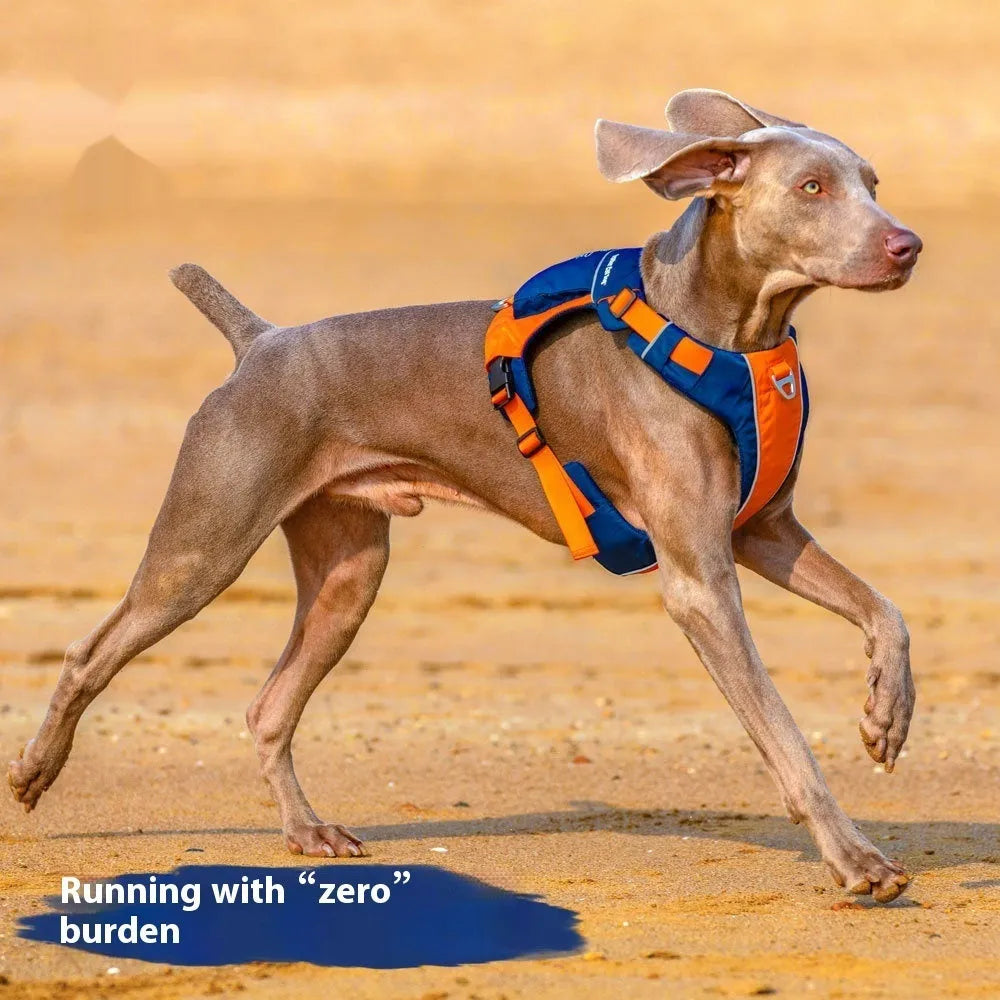 Orange blue vest-style dog chest strap with nylon construction and D-ring attachment