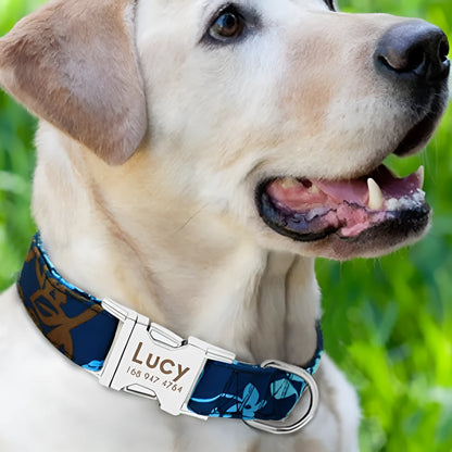 An adjustable nylon dog collar with a metal buckle, shown in black, green, and rose red colours.