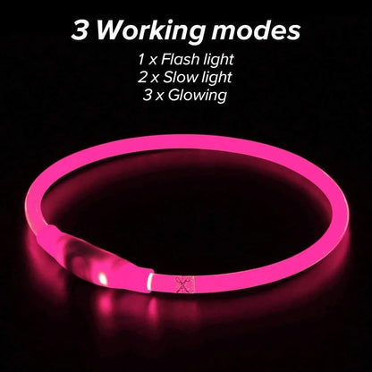 USB-rechargeable LED dog collar with blue glow, adjustable 70cm length, and three flash modes for pet safety.