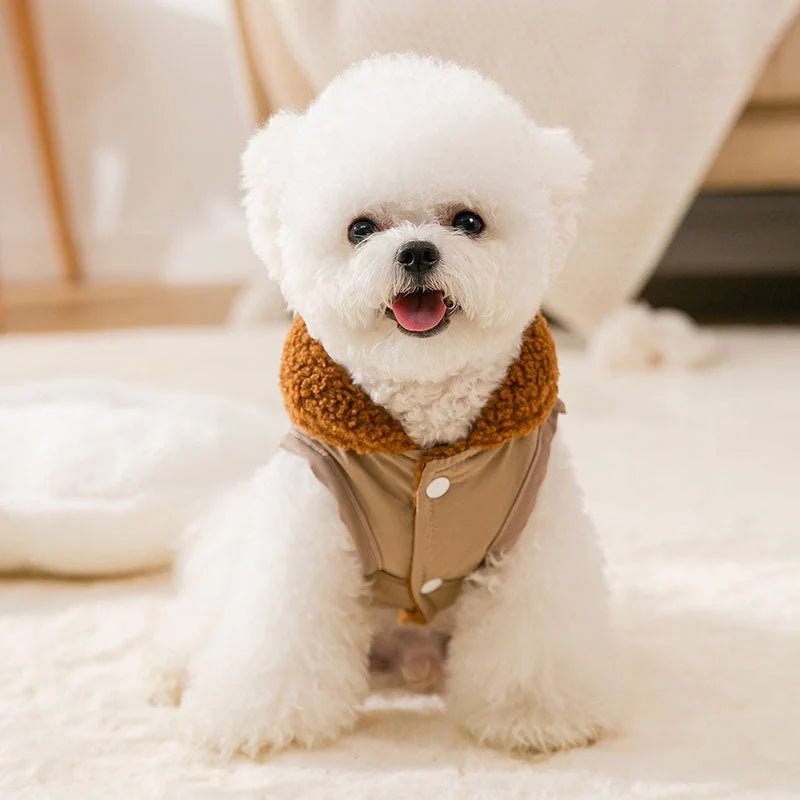 Korean style coffee sweater for small dogs and cats in beige and green