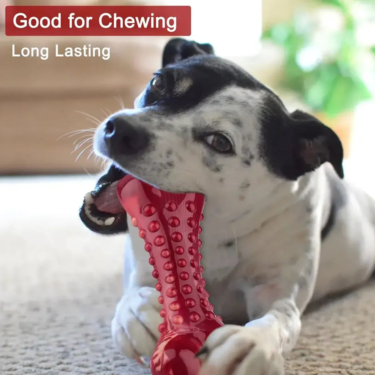 Natural rubber dog chew toy for aggressive chewers with chew bone design