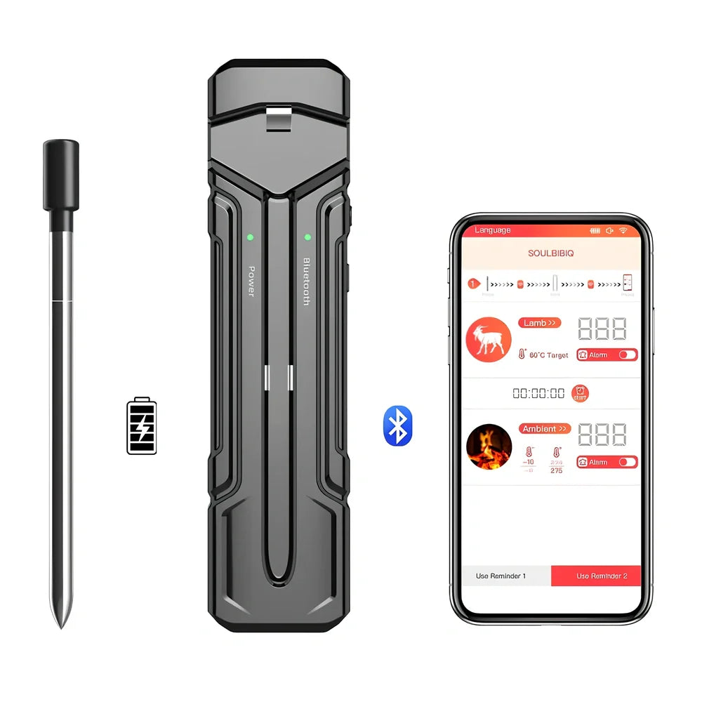 Black wireless kitchen thermometer with LCD display, two stainless steel probes, and magnetic backing for oven door attachment