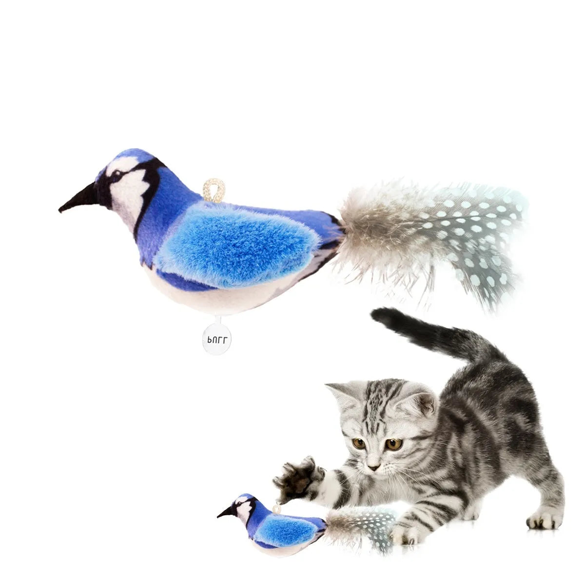 Bird simulation cat plush toy in four summer colour designs: colourful bird, sparrow, blue kingfisher and yellow bird