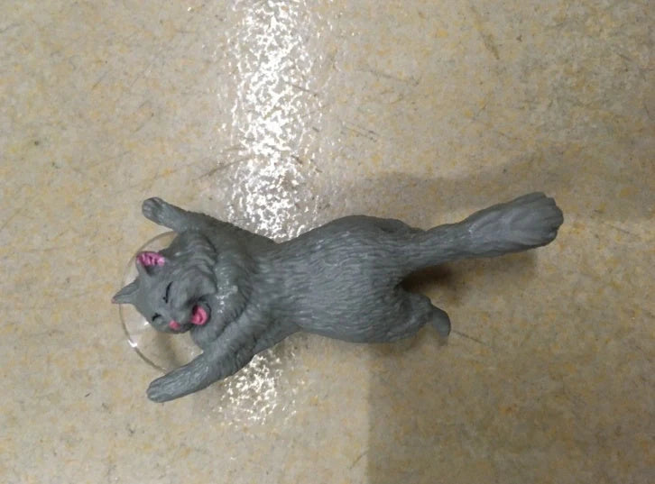 Silicone mobile phone holder with 6CM adhesive ring in multiple colors