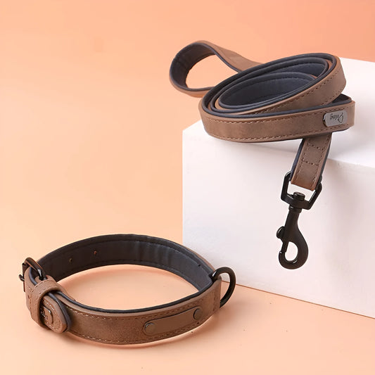 Adjustable anti-loss dog collar showing double-layer thickening construction in multiple colour options