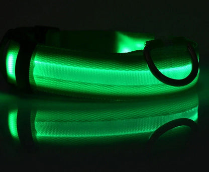 Nylon LED dog safety collar with illuminated fibre optic lights in blue colour, adjustable buckle, and waterproof construction