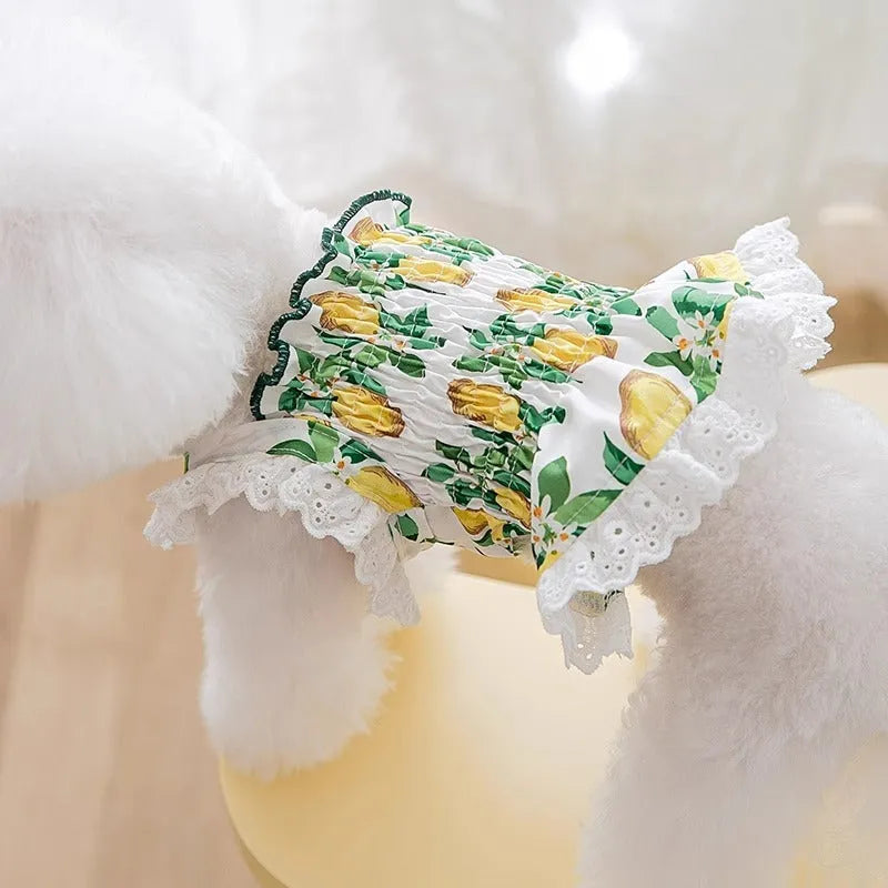 Dog clothes thin breathable strap skirt princess style pet dress for small to large dogs in rock yellow lemon colour polyester material with size guide for weights 0.50kg to 10.00kg