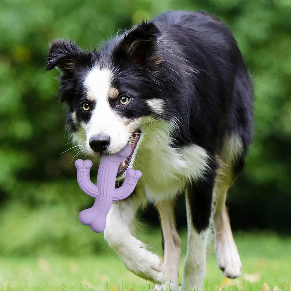 Beige cactus-shaped dog chew toy made from bamboo fibre and rubber on a white background.