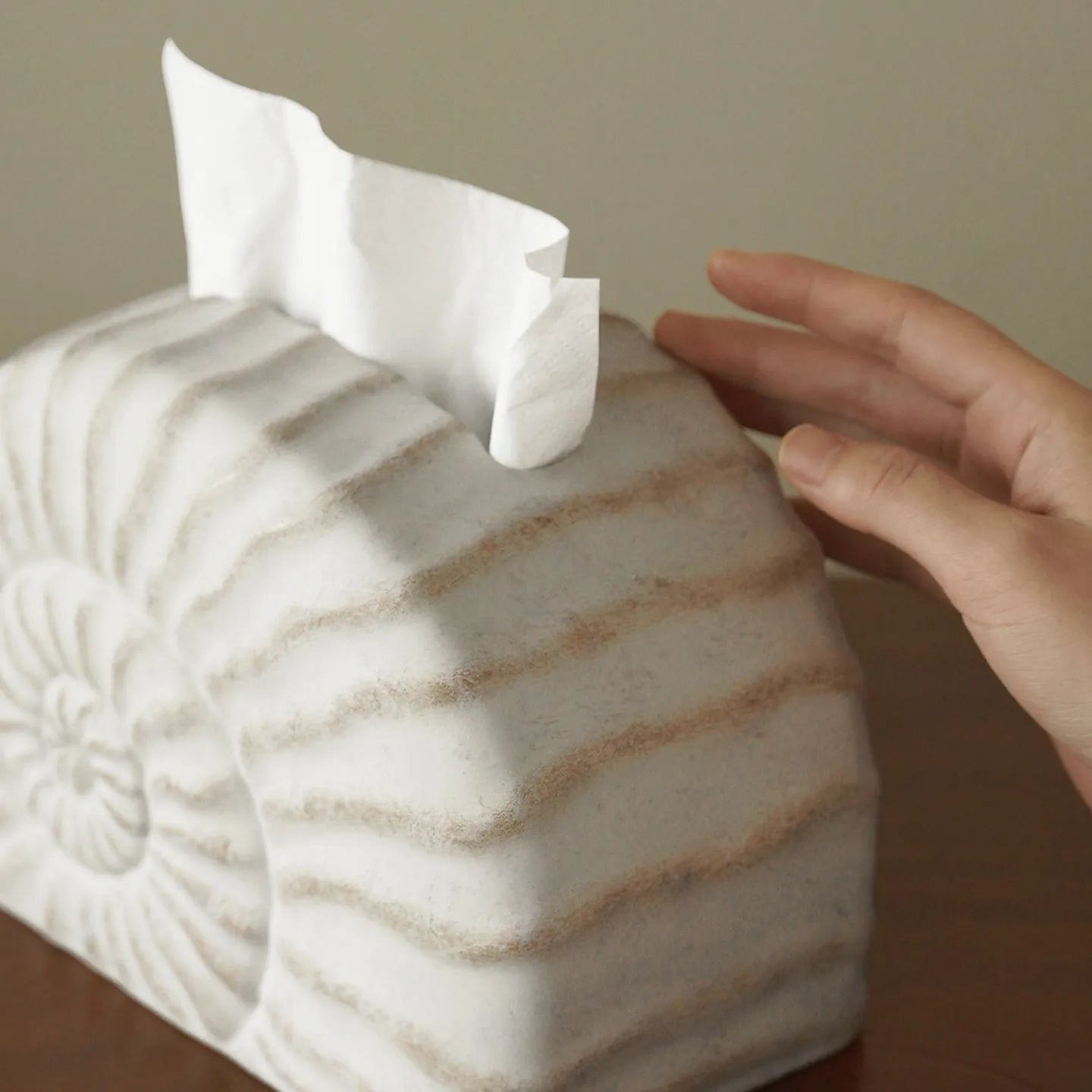 Conch ramble resin tissue box with modern design, 20-26cm dimensions for standard tissues