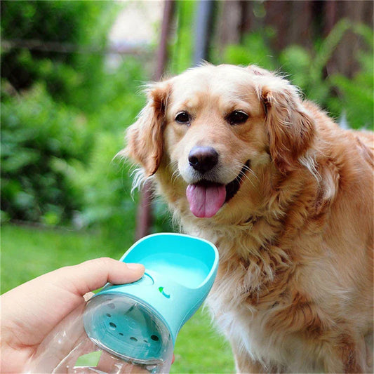 Durable and portable pet water bottle with eco-friendly materials and easy-to-use design for outdoor adventures with your furry friend