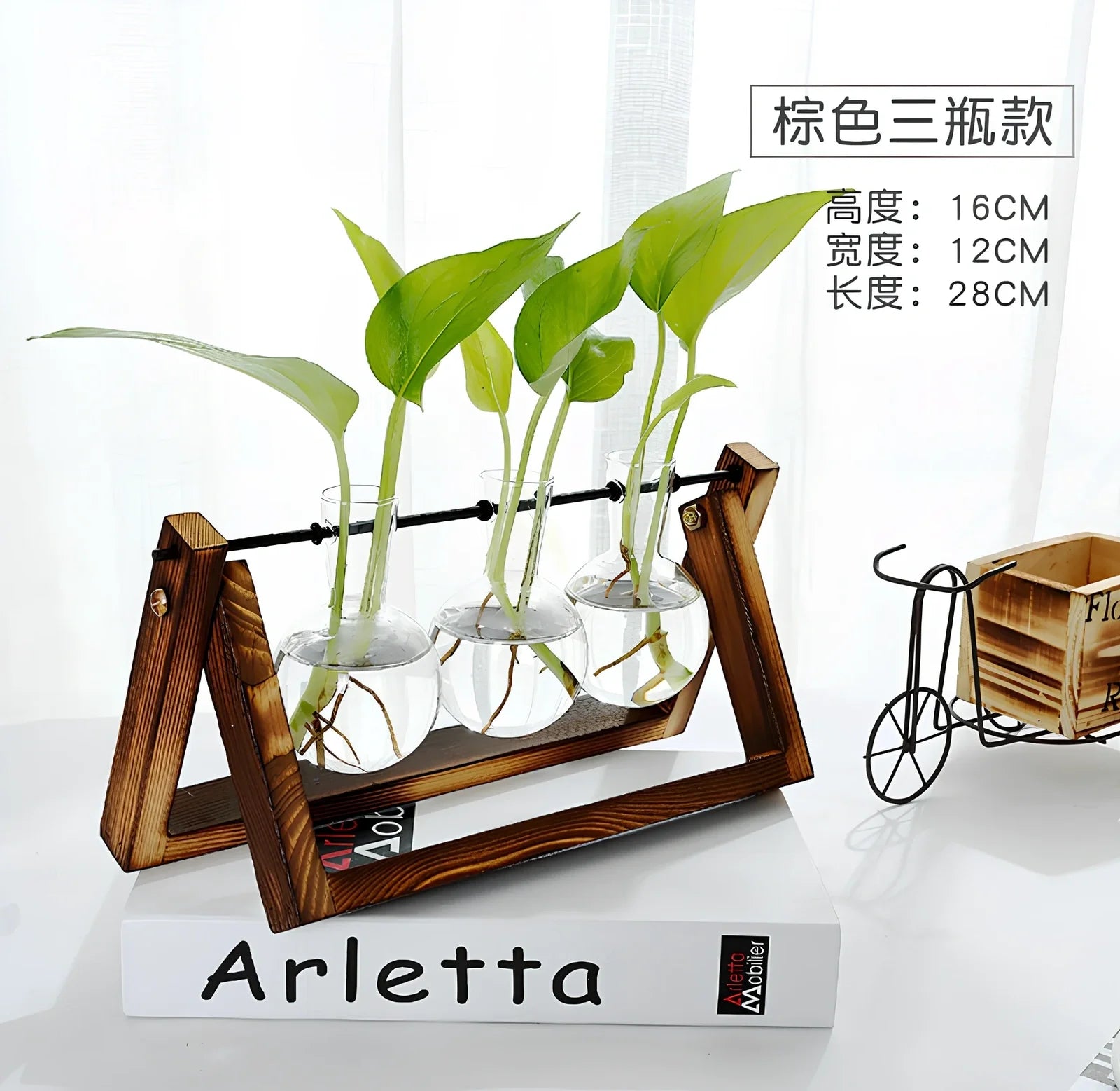 Glass tabletop plant with LED lighting showing colour-changing effects in tempered glass enclosure