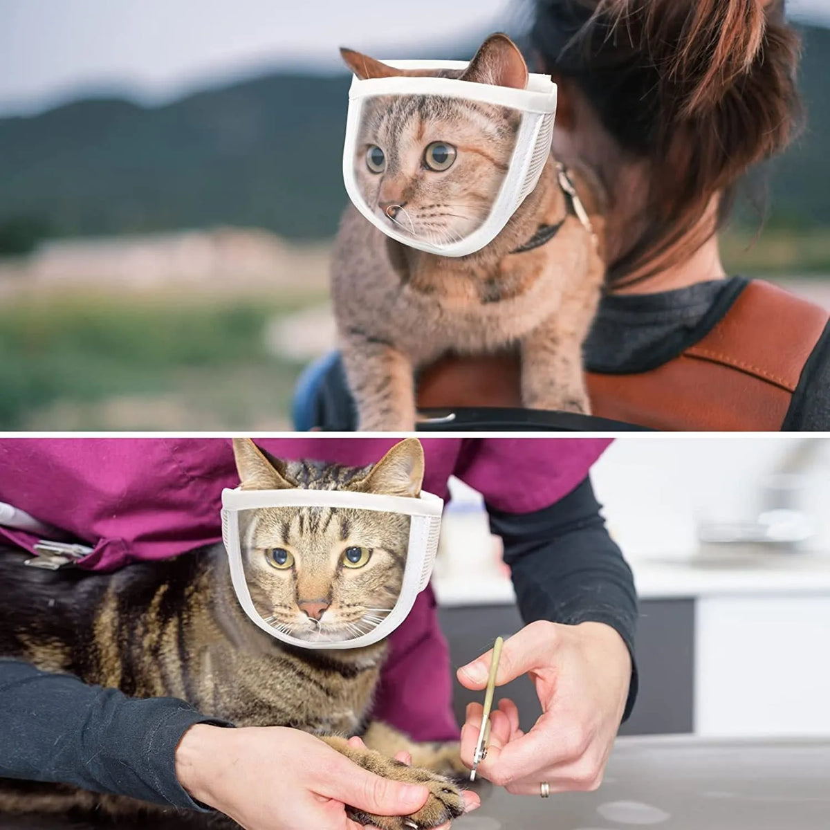 Clear transparent muzzle for cats on a grey background, showing breathing hole and soft lining.