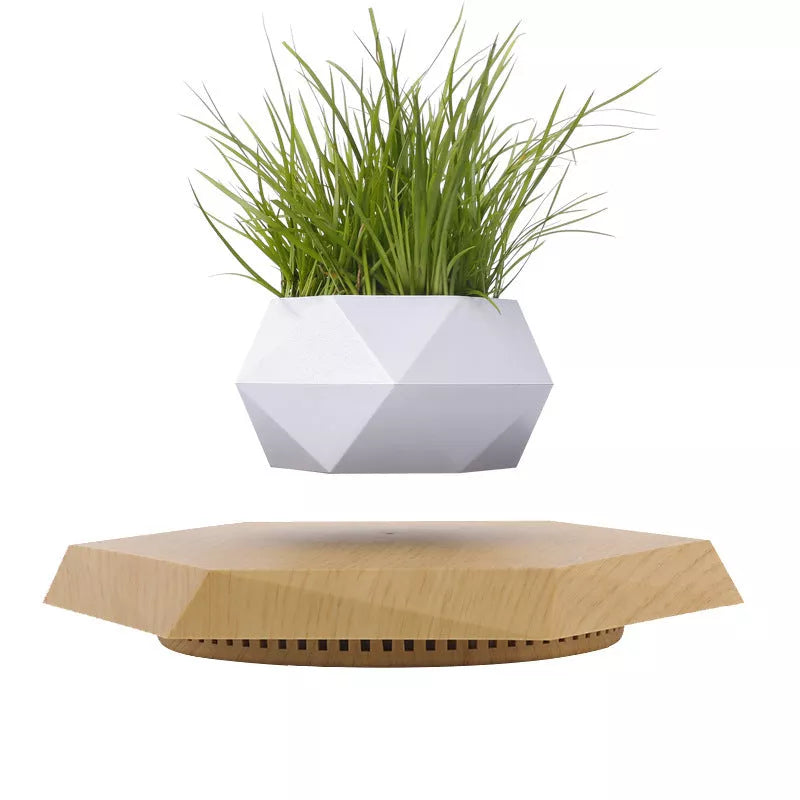 Maglev Pot Plant floating above base in white, wood grain, black, and imitation marble styles